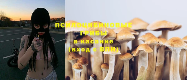 ешки Козельск