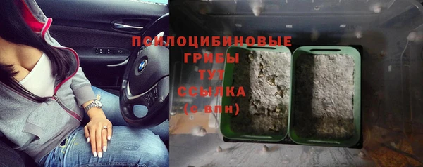 скорость mdpv Козловка